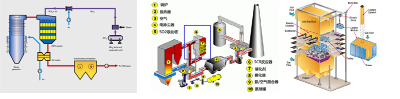δ(bio)}-7.jpg